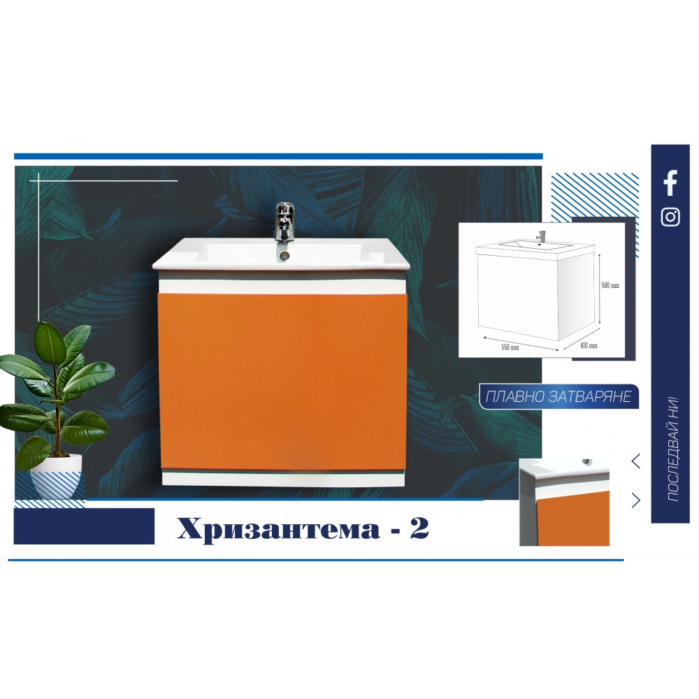 Хризамтема 2